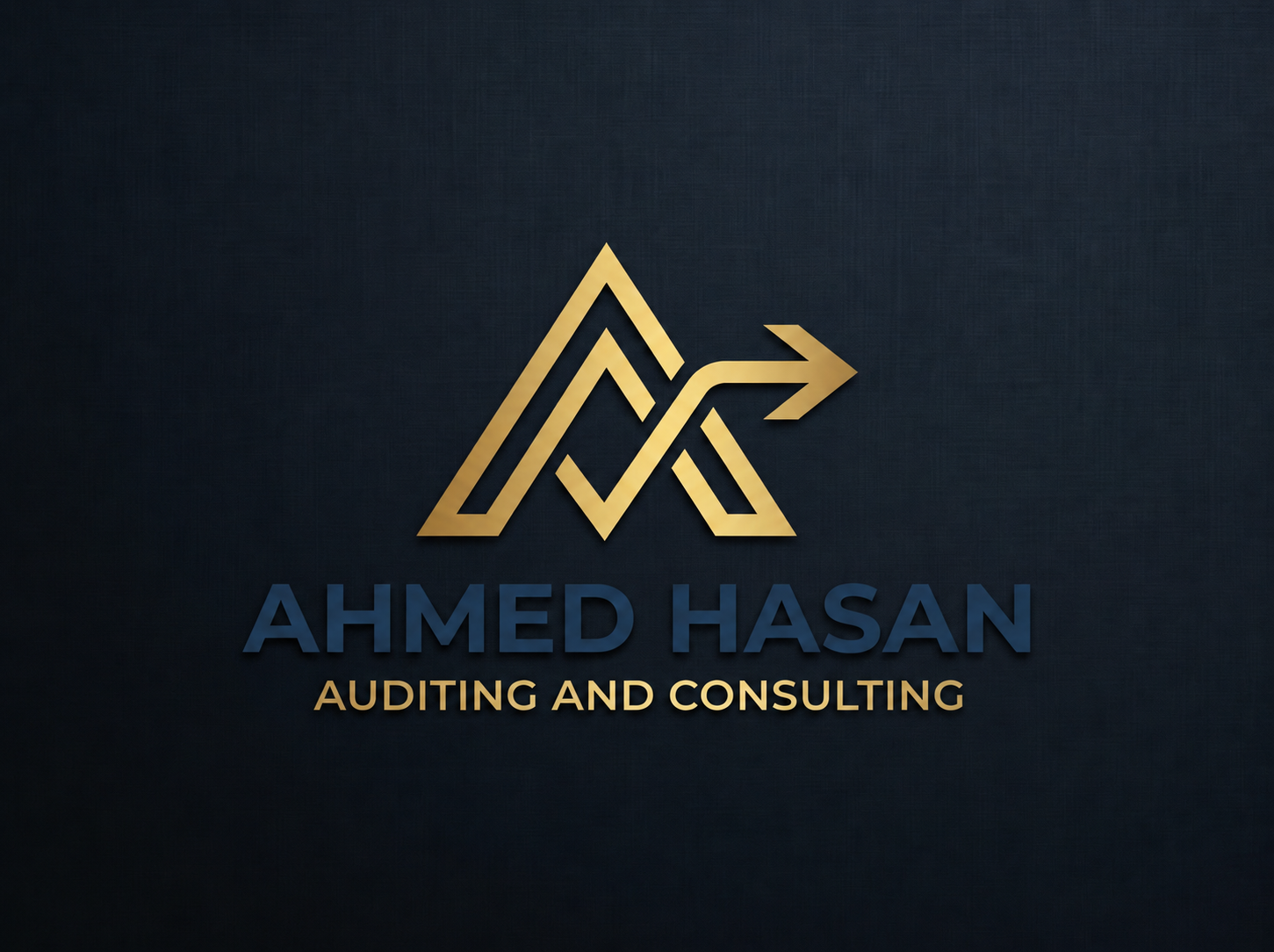 Ahmed Hasan — Auditing and Consulting
